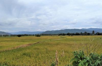 VENTA DE TERRENO DE 60 HAS. EN SAN MARTÍN